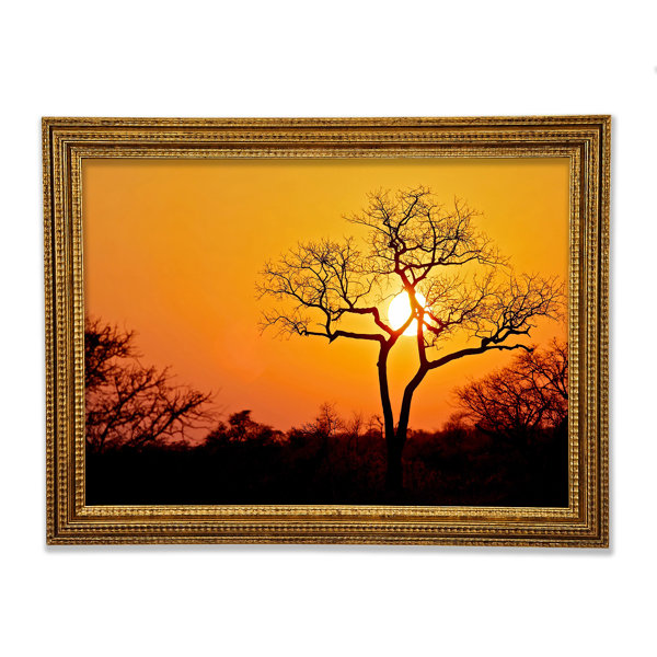 Ebern Designs Sonnenuntergang In Afrika Druck Wayfair De